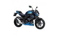 2015-2016 Kawasaki Z250/Z300 Verkleidung