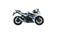 2017-2020 Suzuki GSX250R Verkleidung