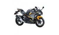 2018-2024 Kawasaki Ninja EX400 Verkleidung