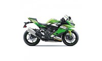 2019-2025 Kawasaki ZX-4RR Verkleidung
