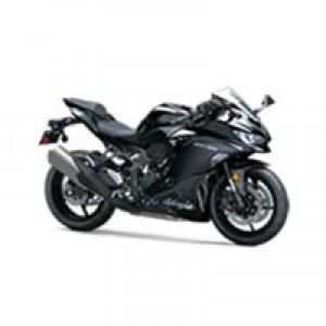 2019-2025 Kawasaki ZX4R Verkleidung