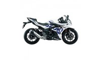 Suzuki GSX250R Verkleidung