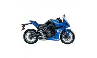 Suzuki GSX8R Verkleidung