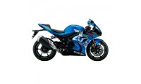Suzuki GSXR Verkleidung