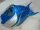 Blau Silber 06-07 CBR1000RR Motorrad Verkleidung Blau Silber 06-07 CBR1000RR Motorrad Verkleidung
