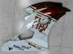 Braun Weiß 06-07 YZF R6 Motorrad Verkleidung Braun Weiß 06-07 YZF R6 Motorrad Verkleidung