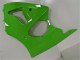 Grün 00-02 ZX6R Motorrad Verkleidung