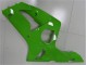 Grün 03-04 ZX6R Motorrad Verkleidungen