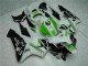 Grün 05-06 CBR600RR Motorrad Verkleidungen