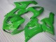 Grün 05-06 ZX6R Motorrad Verkleidung & Plastik Grün 05-06 ZX6R Motorrad Verkleidung & Plastik