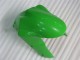 Grün 05-06 ZX6R Motorrad Verkleidung & Plastik Grün 05-06 ZX6R Motorrad Verkleidung & Plastik