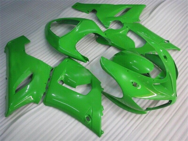 Grün 05-06 ZX6R Motorrad Verkleidung & Plastik Grün 05-06 ZX6R Motorrad Verkleidung & Plastik