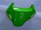 Grün 06-07 CBR1000RR Motorrad Verkleidung Grün 06-07 CBR1000RR Motorrad Verkleidung