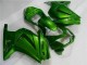 Grün Ninja 08-12 EX250 Motorrad Verkleidungen Grün Ninja 08-12 EX250 Motorrad Verkleidungen