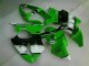 Grün Schwarz 00-02 ZX6R Motor Verkleidung Grün Schwarz 00-02 ZX6R Motor Verkleidung