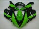 Grün Schwarz 05-06 ZX6R Motorrad Verkleidung Grün Schwarz 05-06 ZX6R Motorrad Verkleidung
