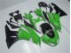 Grün Schwarz 09-12 ZX6R Motorrad Vollverkleidung Grün Schwarz 09-12 ZX6R Motorrad Vollverkleidung