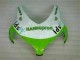 Grün Weiß 08-11 CBR1000RR Motorrad Verkleidung Grün Weiß 08-11 CBR1000RR Motorrad Verkleidung