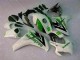 Grün Weiß 08-11 CBR1000RR Motorrad Vollverkleidung Grün Weiß 08-11 CBR1000RR Motorrad Vollverkleidung