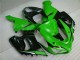 Grün Weiß Schwarz 05-06 ZX6R Motorrad Verkleidung Grün Weiß Schwarz 05-06 ZX6R Motorrad Verkleidung
