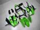 Grün Weiß Schwarz 2000-2002 Kawasaki ZX6R Motorrad Verkleidung Kit