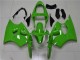 Grün Schwarz 2000-2002 Kawasaki ZX6R Motorrad Verkleidung