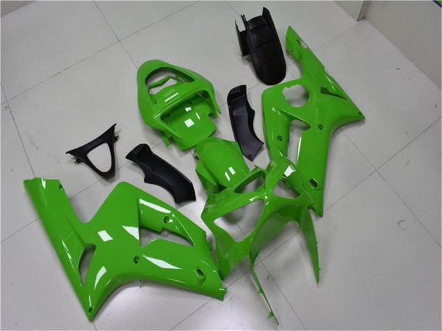 Grün 2003-2004 Kawasaki ZX6R Motorrad Verkleidung