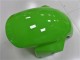 Grün 2003-2004 Kawasaki ZX6R Motorrad Verkleidung