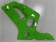 Grün 2003-2004 Kawasaki ZX6R Motorrad Verkleidung
