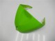 Grün Glänzendes Schwarz 2005-2006 Kawasaki ZX6R Motorrad Verkleidung