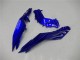 Blau Schwarz Weiß Flamme 2013-2024 Kawasaki Ninja 300 EX300R Motorrad Verkleidung