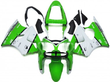 Kawasaki ZX6R Motorrad Verkleidung 2000-2002 - Weiss Grun Schwarz Bridgestone Silkolene