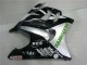 Weiß Silber Grün Hannspree 1995-1996 Honda CBR600 F3 Motorrad Verkleidung