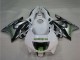 Weiß Silber Grün Hannspree 1995-1996 Honda CBR600 F3 Motorrad Verkleidung