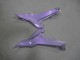 Chameleon Grau Dazz Perl Lila 2020-2025 Kawasaki Ninja 650 EX650 Motorrad Verkleidung
