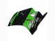Kawasaki ZXR250 Motorrad Verkleidung 1989-1990 - Grun Glanzendes Schwarz Elf Touch4 Bridgestone