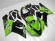 Grün Glänzendes Schwarz Elf 2005-2006 Kawasaki ZX6R Motorrad Verkleidung