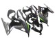 Kawasaki EX300 Motorrad Verkleidung 2013-2024 - Glanzendes Schwarz Matt Schwarz Grun