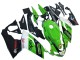 Aprilia RS125 Motorrad Verkleidung 2006-2011 - Grun Weiss Schwarz