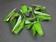 Grün Weiß Schwarz 2008-2012 Kawasaki EX250 Motorrad Verkleidung