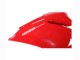 Ducati 1299 Motorrad Verkleidung 2015-2020 - Rot