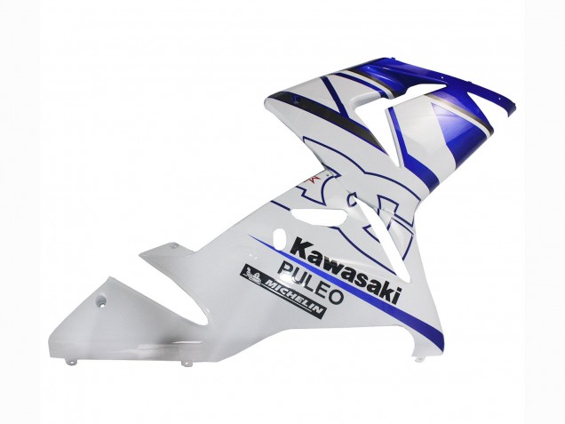 Kawasaki ZX10R Motorrad Verkleidung 2004-2005 - Schwarz Weiss