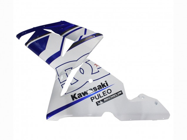 Kawasaki ZX10R Motorrad Verkleidung 2004-2005 - Schwarz Weiss
