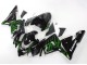 Kawasaki ZX10R Motorrad Verkleidung 2004-2005 - Schwarz mit Gruner Flamme Ninja