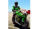 Kawasaki ZX10R Motorrad Verkleidung 2011-2015 - Grun Gelb Weiss Schwarz Rot Pirelli
