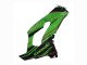 Kawasaki ZX10R Motorrad Verkleidung 2021-2025 - Grun Glanzendes Schwarz