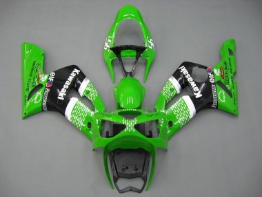 Kawasaki ZX6R Motorrad Verkleidung 2003-2004 - Grun Weiss Schwarz Elf Bridgestone