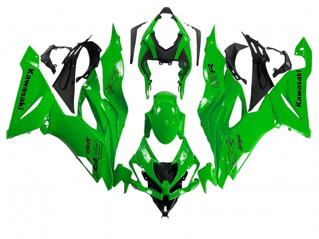 Kawasaki ZX6R Motorrad Verkleidung 2019-2022 - Grun