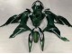 Kawasaki ZX6R Motorrad Verkleidung 2019-2022 - Dunkel Grun