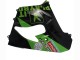 Kawasaki ZX9R Motorrad Verkleidung 2000-2001 - Grun Schwarz Playboy Denso